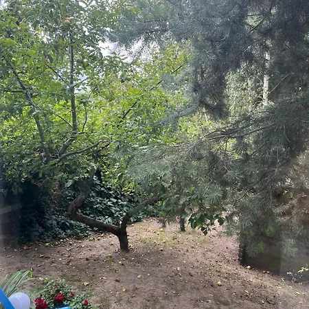 Blue Near Krakow Apartman *