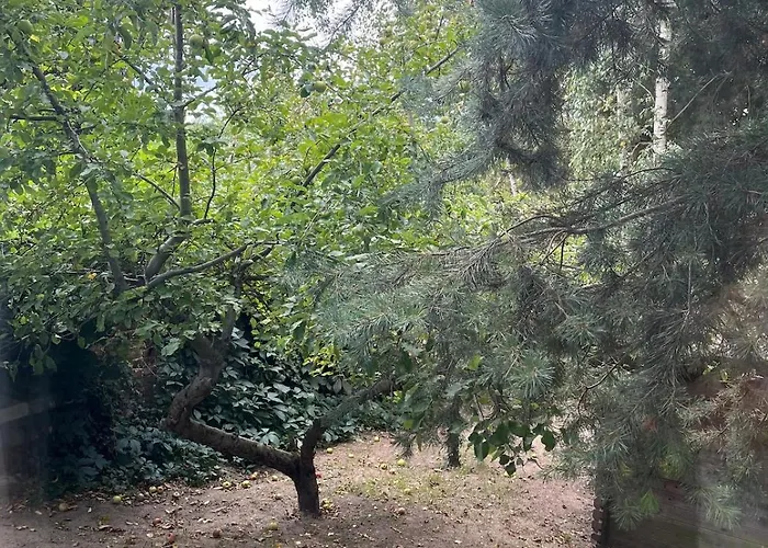 Blue Near Krakow Apartment *